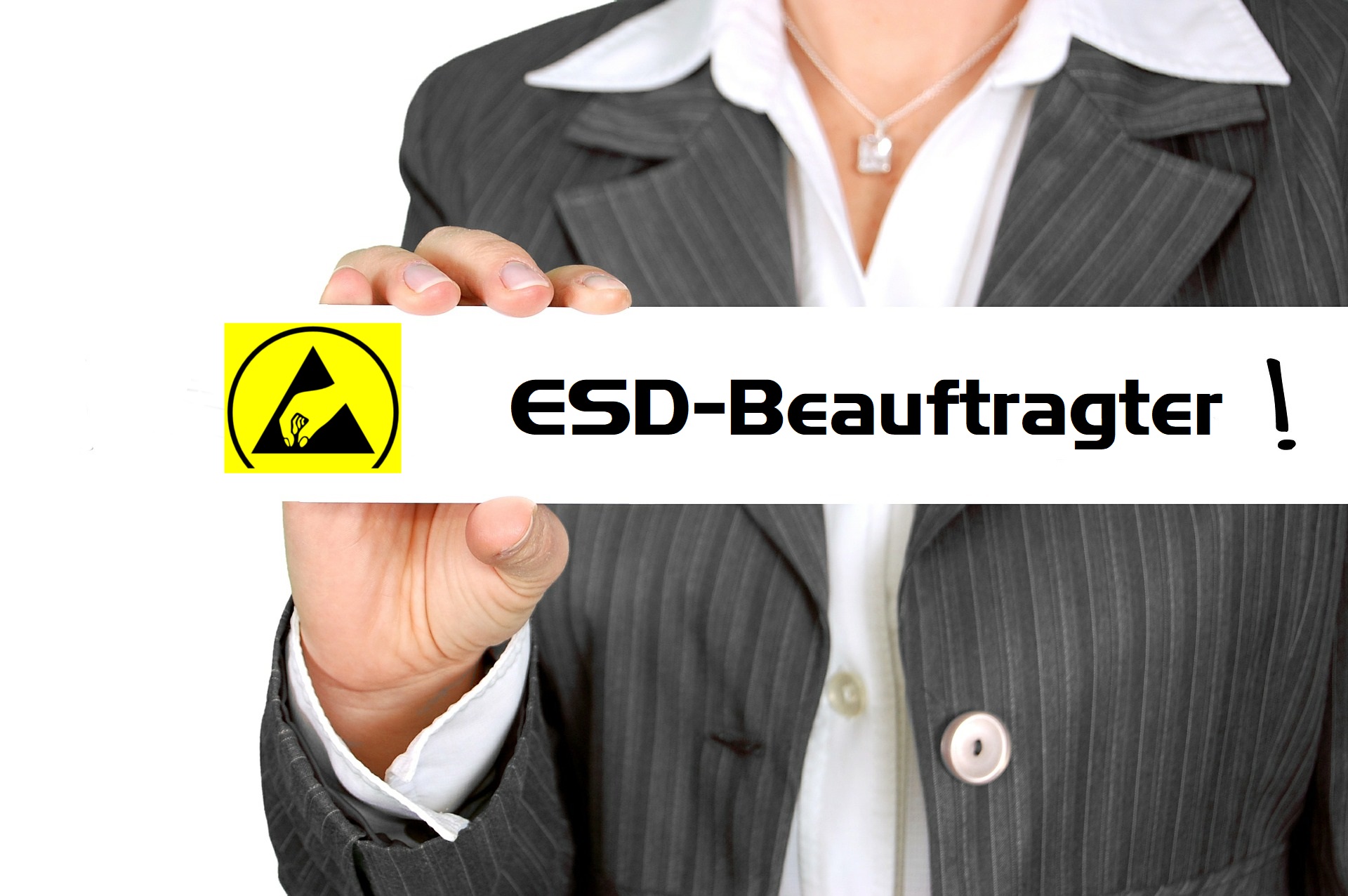 Schulung ESD Beauftragter