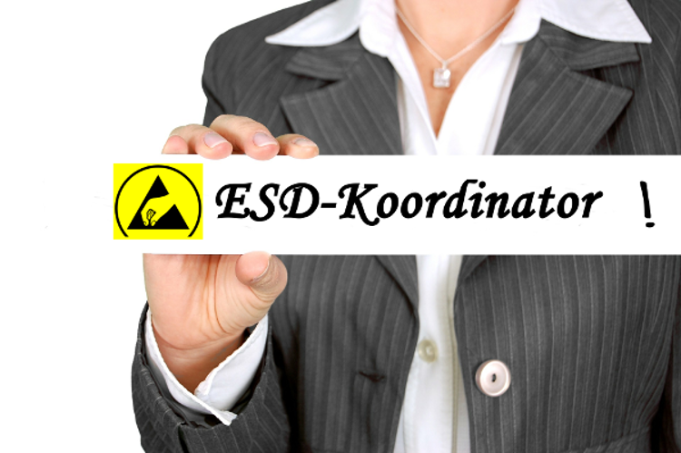 externer ESD Koordinator